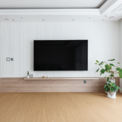 Nuestra primer Televisión