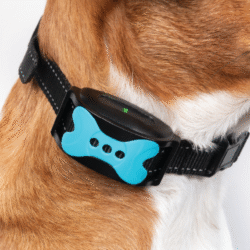 Collar con GPS o localizador